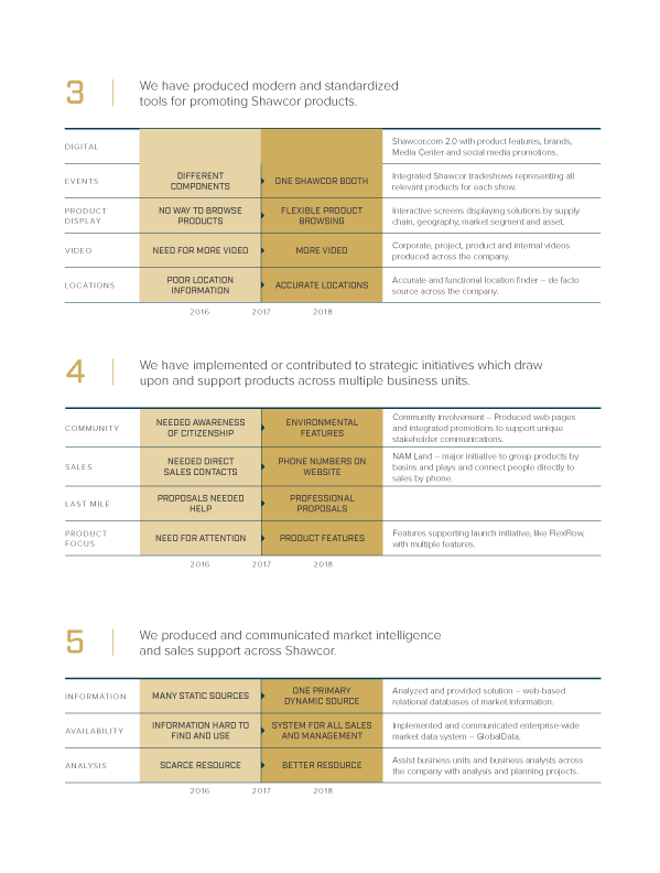 Marketing transformation progress showing development of standardized tools, strategic initiatives and market intelligence systems to support scalable promotion, sales alignment and enterprise decision making