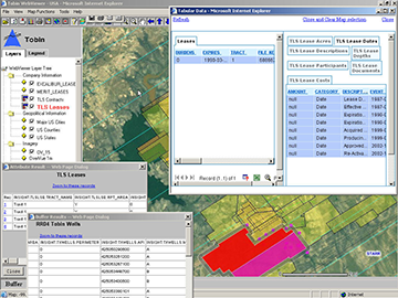 TWV-User Window for case study list